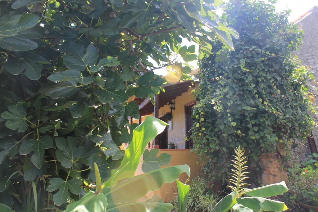 Casa Rural Las Rosas Агуло Номер фото